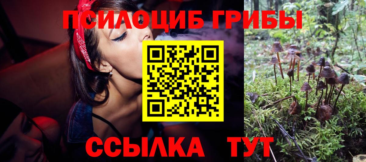 Галлюциногенные грибы ЛСД  Псилоцибиновые грибы GOLDEN TEACHER  Вход с VPN  где продают   Протвино 