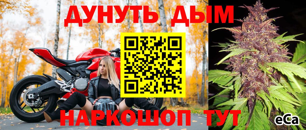 Конопля марихуана Протвино